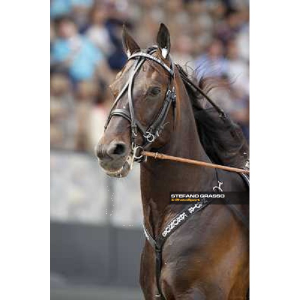 Nadir Kronos warming up before the Gran Premio d\'Europa Milan- San Siro racetrack, 25th april 2011 ph.Stefano Grasso