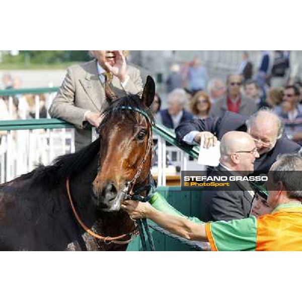 Sir Eagles after winning the Premio Certosa Milan- San Siro racetrack, 24th april 2011 ph.Stefano Grasso