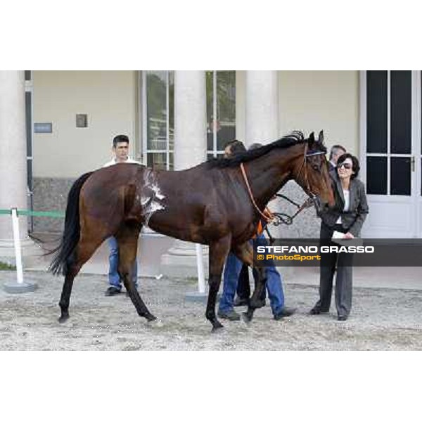 Sir Eagles after winning the Premio Certosa Milan- San Siro racetrack, 24th april 2011 ph.Stefano Grasso