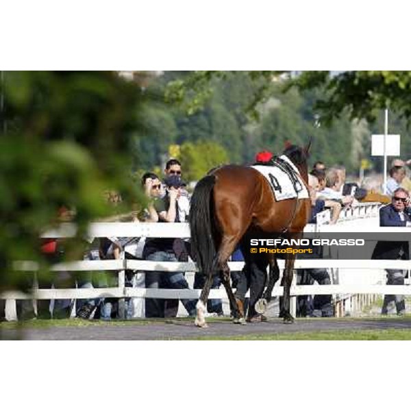 Estejo Milan- San Siro racetrack, 24th april 2011 ph.Stefano Grasso