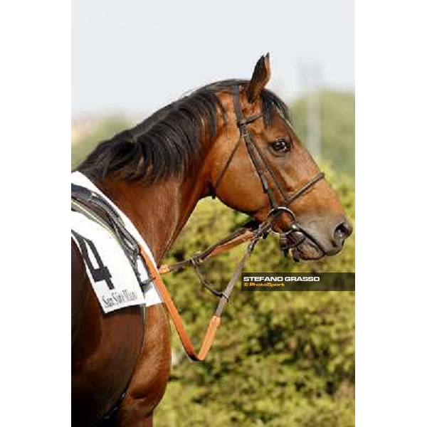 Estejo Milan- San Siro racetrack, 24th april 2011 ph.Stefano Grasso