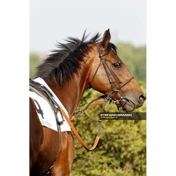 Estejo Milan- San Siro racetrack, 24th april 2011 ph.Stefano Grasso