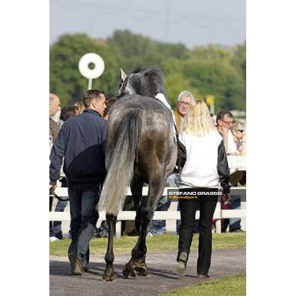 Ordenstreuer Milan- San Siro racetrack, 24th april 2011 ph.Stefano Grasso