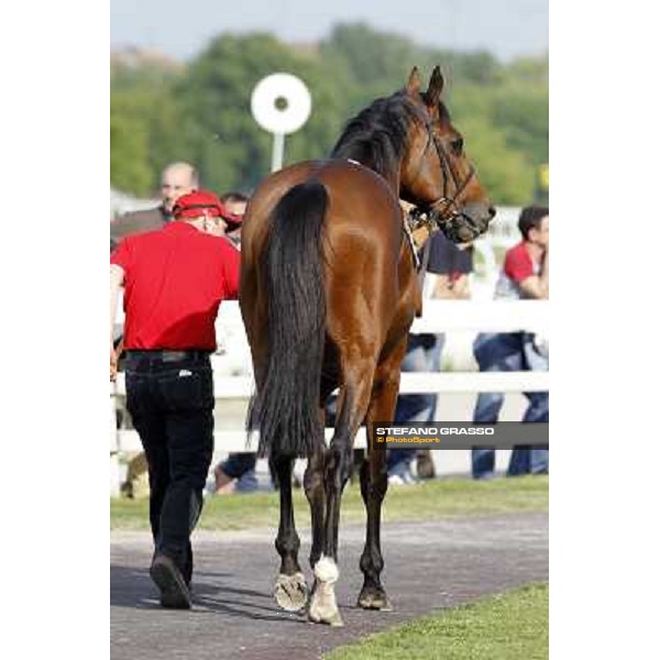 Estejo Milan- San Siro racetrack, 24th april 2011 ph.Stefano Grasso