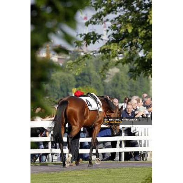 Estejo Milan- San Siro racetrack, 24th april 2011 ph.Stefano Grasso