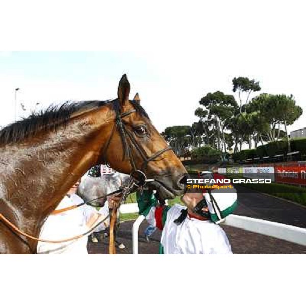 Umberto Rispoli on Estejo wins the Premio Presidente della Repubblica - GBI Racing Rome - Capannelle racetrack, 15th may 2011 ph.Stefano Grasso