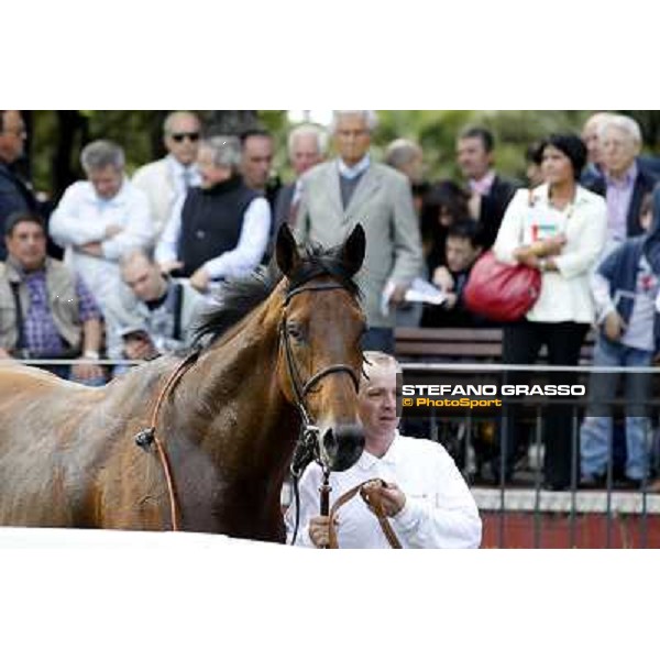 Umberto Rispoli on Estejo wins the Premio Presidente della Repubblica - GBI Racing Rome - Capannelle racetrack, 15th may 2011 ph.Stefano Grasso