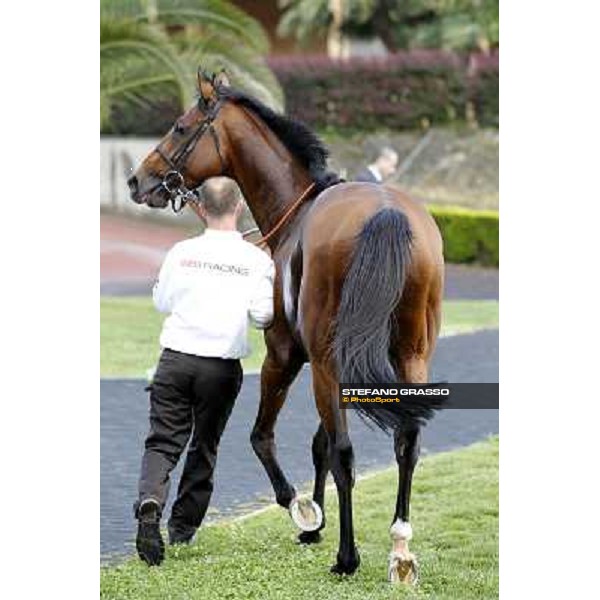 Umberto Rispoli on Estejo wins the Premio Presidente della Repubblica - GBI Racing Rome - Capannelle racetrack, 15th may 2011 ph.Stefano Grasso