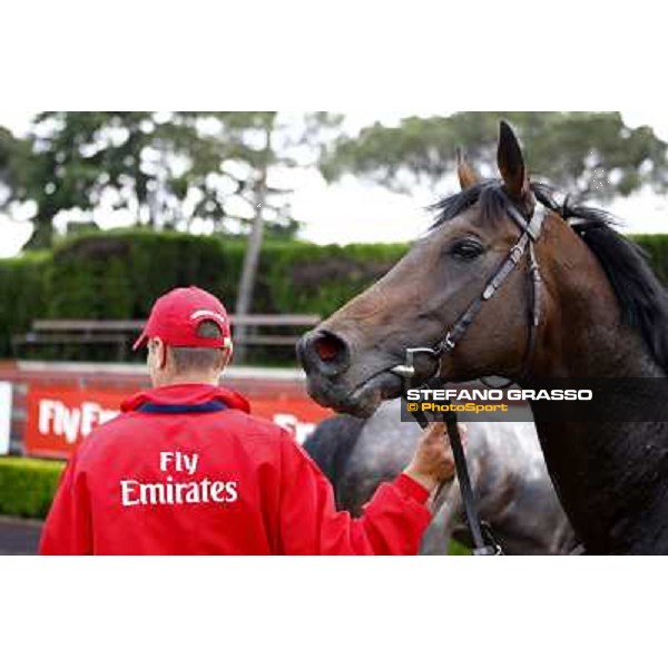 Carlo Fioccchi on Miles Gloriosus wins the Premio Emirates Airline Rome - Capannelle racetrack, 15th may 2011 ph.Stefano Grasso