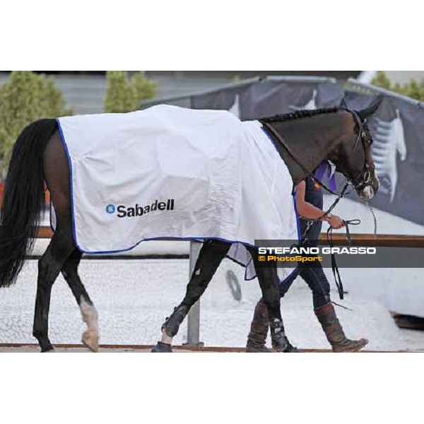 J\'Taime Flamenco winner of the Gran Premio De Espana Valencia - 8th may 2011 ph.Stefano Grasso/GCT