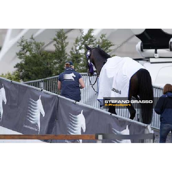 J\'Taime Flamenco winner of the Gran Premio De Espana Valencia - 8th may 2011 ph.Stefano Grasso/GCT