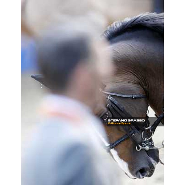 Taloubet Z warming up on 1st june - Global Champions Tour Hamburg - 1st june 2011 ph.Stefano Grasso/GCT