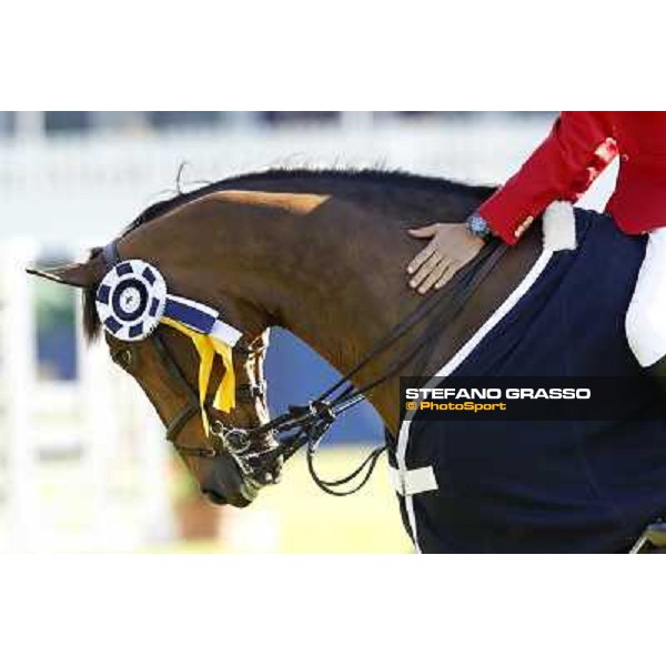 prize giving ceremony for Baldo DS winner of Prix 5 during the Deutsches Spring und Dressur DERBY Hamburg, 2nd june 2011 ph.Stefano Grasso/GCT