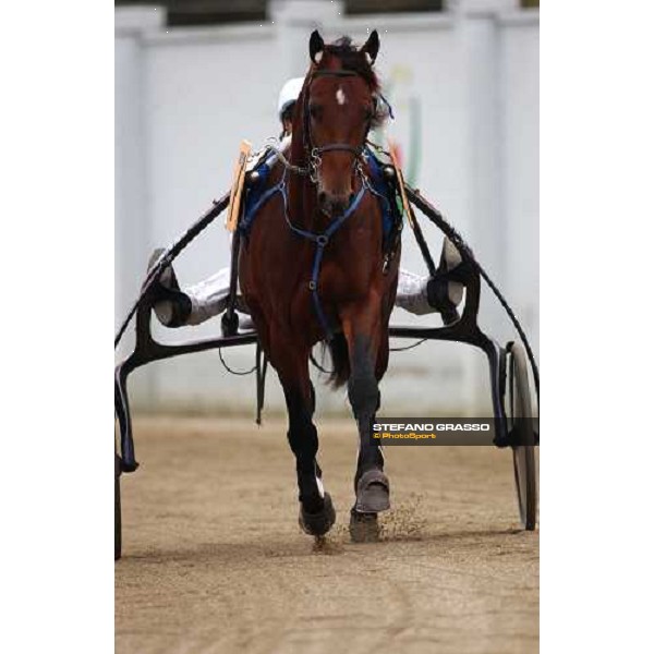 Mambo King - Jean Michele Bazire Turin - Eliminatory Gp Uet Turin, 16th october 2004 ph. Stefano Grasso