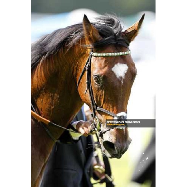 Frankel, Tom Queally up, wins the St James\'s Palace Stakes Royal Ascot - Tuesday, First day, june 14 2011 ph.Stefano Grasso