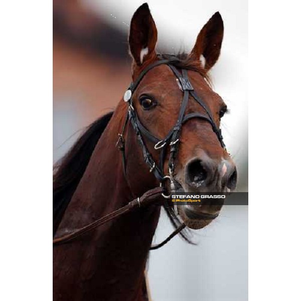 close-up for Daguet Rapide Turin, 16th october 2004 ph. Stefano Grasso