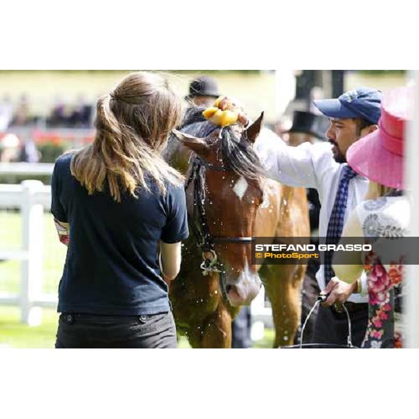 Prohibit, Jim Crowley up, wins the King\'s Stand Stakes Royal Ascot - Tuesday, First day, june 14 2011 ph.Stefano Grasso