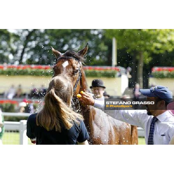 Prohibit, Jim Crowley up, wins the King\'s Stand Stakes Royal Ascot - Tuesday, First day, june 14 2011 ph.Stefano Grasso