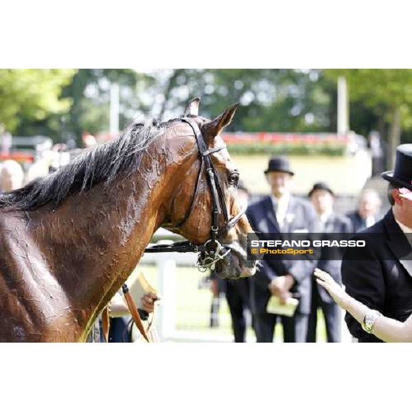 Prohibit, Jim Crowley up, wins the King\'s Stand Stakes Royal Ascot - Tuesday, First day, june 14 2011 ph.Stefano Grasso