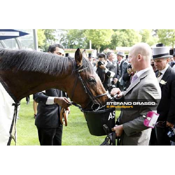 Frankel. Tom Queally up, wins the St James\'s Palace Stakes Royal Ascot - Tuesday, First day, june 14 2011 ph.Stefano Grasso