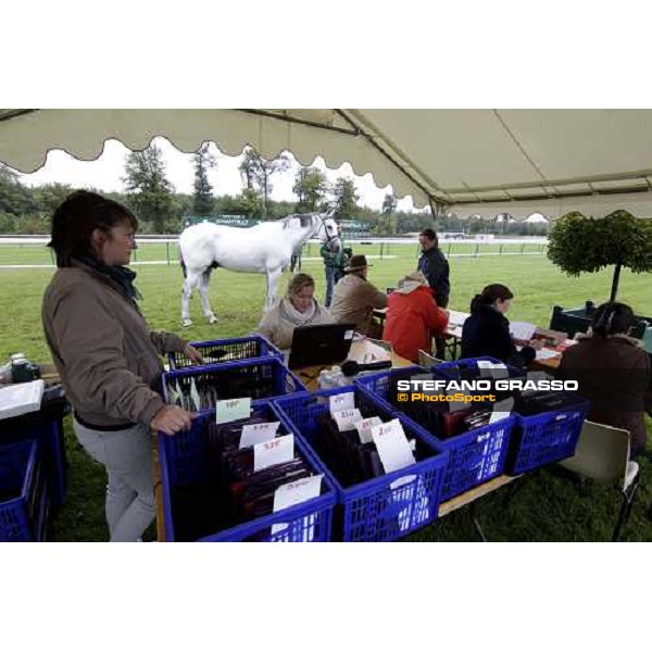 Global Champions Tour in Chantilly 2011 The Vet Inspection 21st july 2011 ph.Stefano Grasso/GCT - www.stefanograsso.com www.globalchampionstour.com