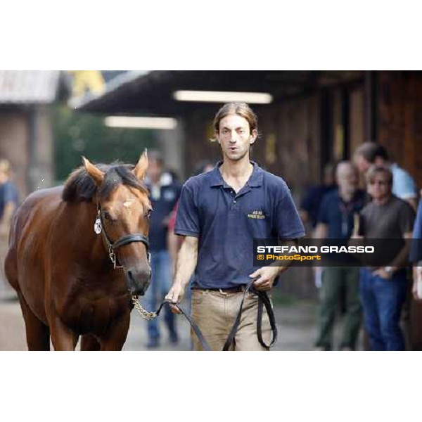 Moments and Emotions at SGA Selected Yearling Sale - The Top Price - n.78 Dubawi and Windy Britain - sold at Euro 210.000 Settimo Milanese (MI), 16-17th sept.2011 ph.Stefano Grasso