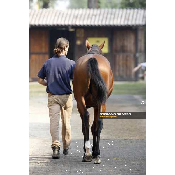 Moments and Emotions at SGA Selected Yearling Sale - The Top Price - n.78 Dubawi and Windy Britain - sold at Euro 210.000 Settimo Milanese (MI), 16-17th sept.2011 ph.Stefano Grasso