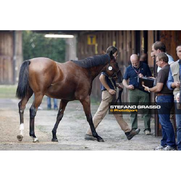 Moments and Emotions at SGA Selected Yearling Sale - The Top Price - n.78 Dubawi and Windy Britain - sold at Euro 210.000 Settimo Milanese (MI), 16-17th sept.2011 ph.Stefano Grasso