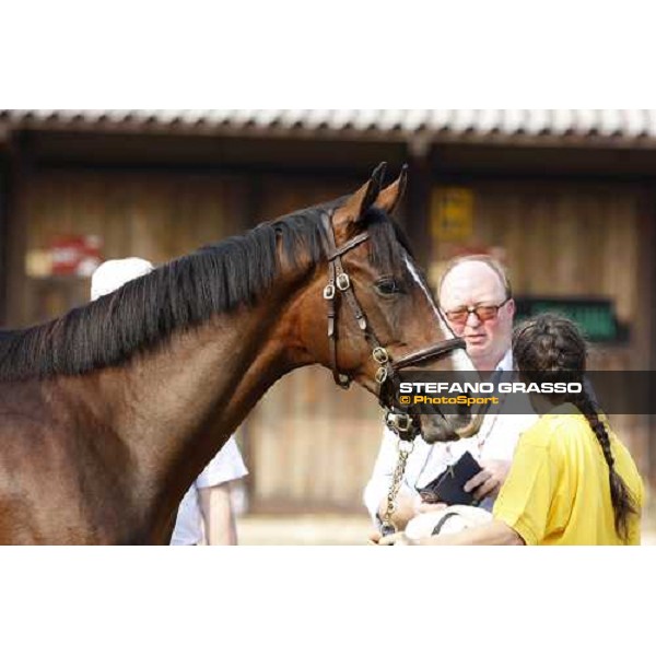 Moments and Emotions at SGA Selected Yearling Sale Settimo Milanese (MI), 16-17th sept.2011 ph.Stefano Grasso