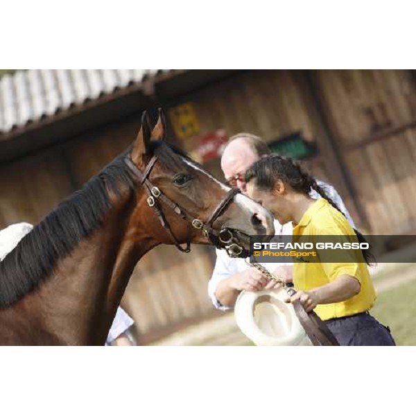 Moments and Emotions at SGA Selected Yearling Sale Settimo Milanese (MI), 16-17th sept.2011 ph.Stefano Grasso