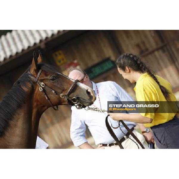 Moments and Emotions at SGA Selected Yearling Sale Settimo Milanese (MI), 16-17th sept.2011 ph.Stefano Grasso