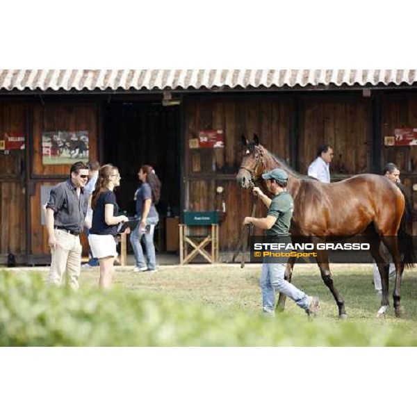 Moments and Emotions at SGA Selected Yearling Sale Settimo Milanese (MI), 16-17th sept.2011 ph.Stefano Grasso