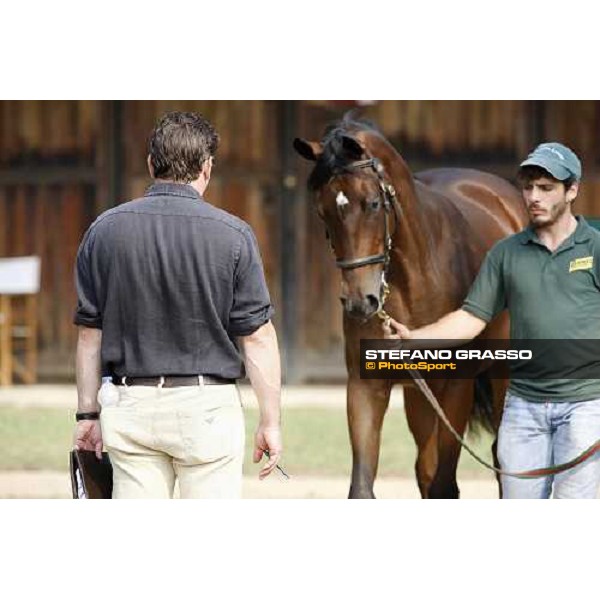 Moments and Emotions at SGA Selected Yearling Sale Settimo Milanese (MI), 16-17th sept.2011 ph.Stefano Grasso
