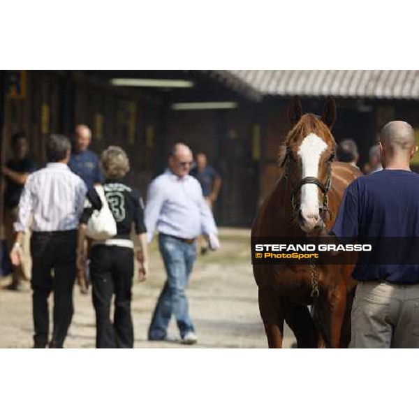 Moments and Emotions at SGA Selected Yearling Sale Settimo Milanese (MI), 16-17th sept.2011 ph.Stefano Grasso