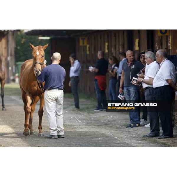 Moments and Emotions at SGA Selected Yearling Sale - Alduino Botti and Felice Villa Settimo Milanese (MI), 16-17th sept.2011 ph.Stefano Grasso