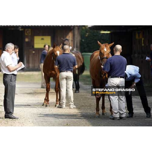 Moments and Emotions at SGA Selected Yearling Sale - Marco and Alduino Botti Settimo Milanese (MI), 16-17th sept.2011 ph.Stefano Grasso