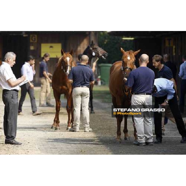 Moments and Emotions at SGA Selected Yearling Sale - Marco and Alduino Botti Settimo Milanese (MI), 16-17th sept.2011 ph.Stefano Grasso