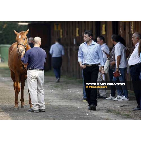 Moments and Emotions at SGA Selected Yearling Sale - Marco and Alduino Botti Settimo Milanese (MI), 16-17th sept.2011 ph.Stefano Grasso