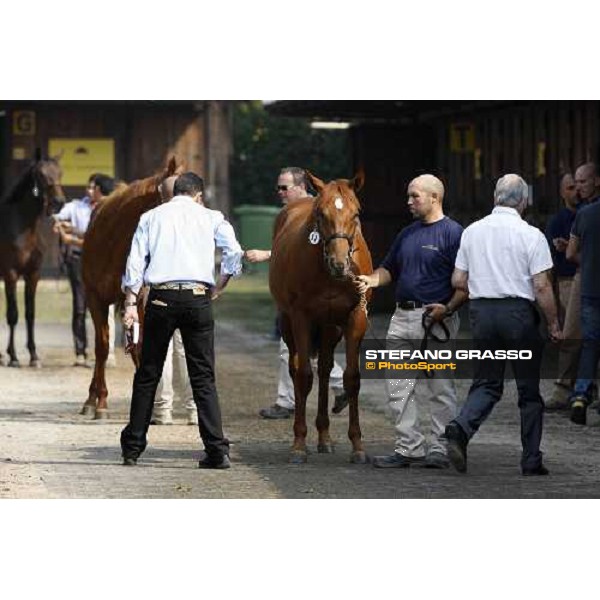 Moments and Emotions at SGA Selected Yearling Sale - Marco and Alduino Botti Settimo Milanese (MI), 16-17th sept.2011 ph.Stefano Grasso
