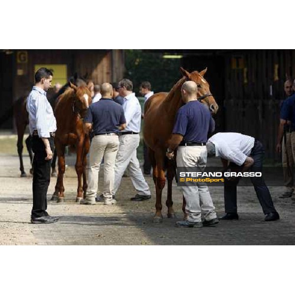 Moments and Emotions at SGA Selected Yearling Sale - Marco and Alduino Botti Settimo Milanese (MI), 16-17th sept.2011 ph.Stefano Grasso