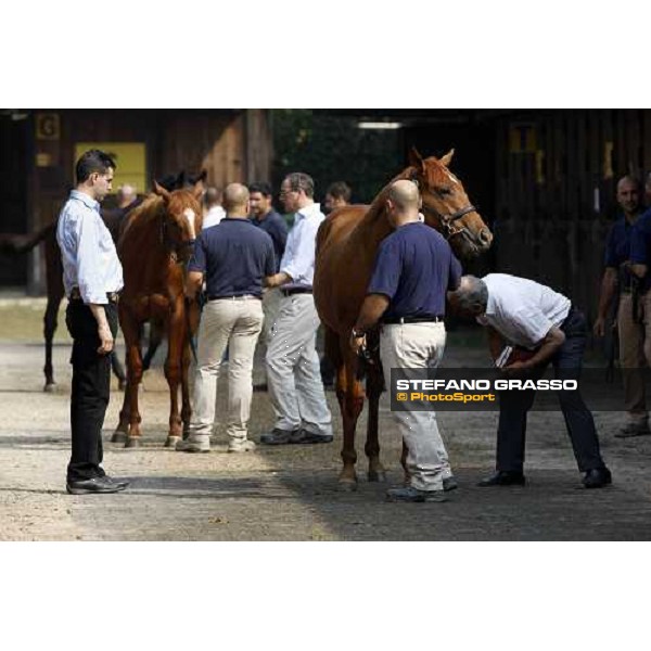 Moments and Emotions at SGA Selected Yearling Sale - Marco and Alduino Botti Settimo Milanese (MI), 16-17th sept.2011 ph.Stefano Grasso