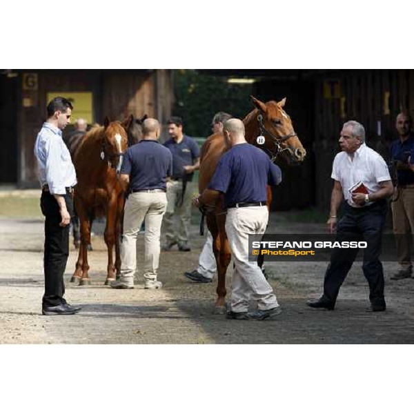 Moments and Emotions at SGA Selected Yearling Sale - Marco and Alduino Botti Settimo Milanese (MI), 16-17th sept.2011 ph.Stefano Grasso