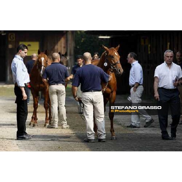 Moments and Emotions at SGA Selected Yearling Sale - Marco and Alduino Botti Settimo Milanese (MI), 16-17th sept.2011 ph.Stefano Grasso