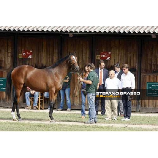Moments and Emotions at SGA Selected Yearling Sale -Cristiana Brivio Sforza, Endo Botti, Vittorio Caruso, Francesco Chiarotto, Franco Raimondi Settimo Milanese (MI), 16-17th sept.2011 ph.Stefano Grasso