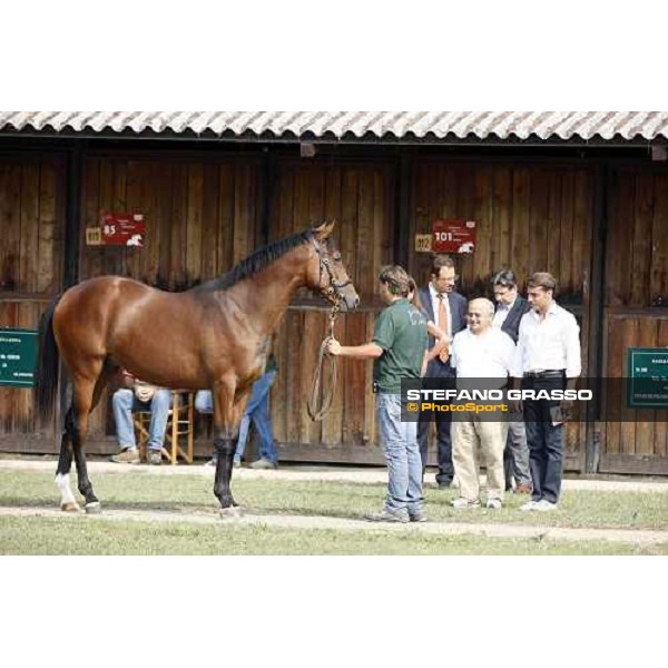 Moments and Emotions at SGA Selected Yearling Sale - Cristiana Brivio Sforza, Endo Botti, Vittorio Caruso, Francesco Chiarotto, Franco Raimondi Settimo Milanese (MI), 16-17th sept.2011 ph.Stefano Grasso