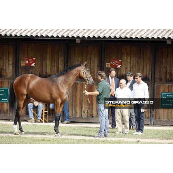Moments and Emotions at SGA Selected Yearling Sale - Cristiana Brivio Sforza, Endo Botti, Vittorio Caruso, Francesco Chiarotto, Franco Raimondi Settimo Milanese (MI), 16-17th sept.2011 ph.Stefano Grasso