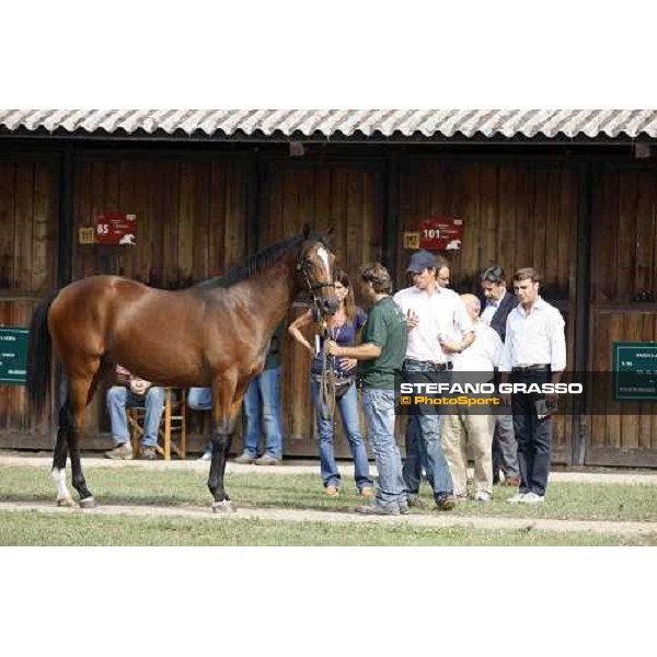 Moments and Emotions at SGA Selected Yearling Sale - Cristiana Brivio Sforza, Endo Botti, Vittorio Caruso, Francesco Chiarotto, Franco Raimondi Settimo Milanese (MI), 16-17th sept.2011 ph.Stefano Grasso