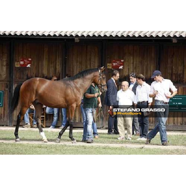 Moments and Emotions at SGA Selected Yearling Sale - Cristiana Brivio Sforza, Endo Botti, Vittorio Caruso, Francesco Chiarotto, Franco Raimondi Settimo Milanese (MI), 16-17th sept.2011 ph.Stefano Grasso