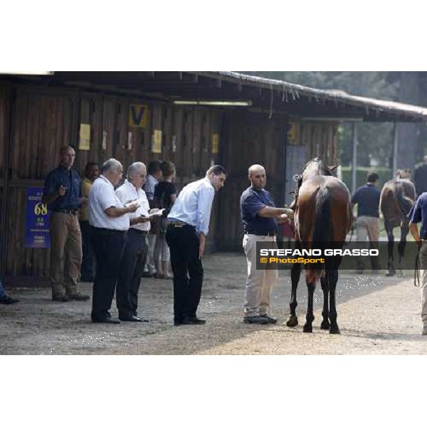 Moments and Emotions at SGA Selected Yearling Sale Settimo Milanese (MI), 16-17th sept.2011 ph.Stefano Grasso