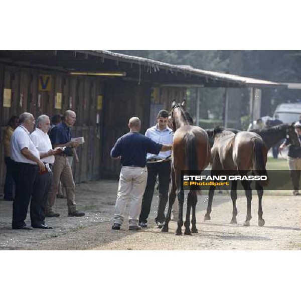 Moments and Emotions at SGA Selected Yearling Sale Settimo Milanese (MI), 16-17th sept.2011 ph.Stefano Grasso